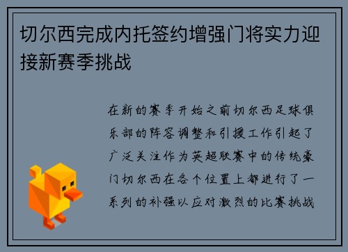 切尔西完成内托签约增强门将实力迎接新赛季挑战
